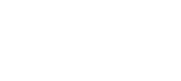 Empresa parceira